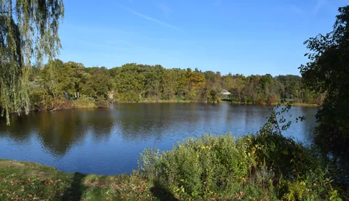 The river's calm waters surrounded by foliage