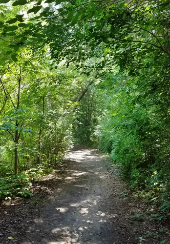 A wooded trail through lush greenery surrounds the lake