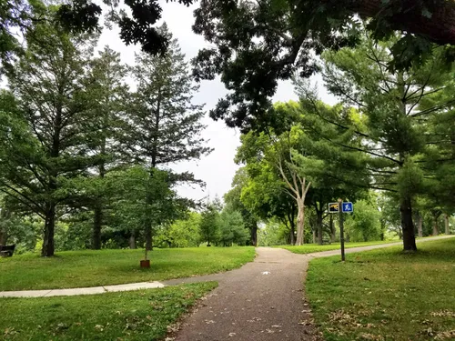 Pathways lead through lush greenery at Deming Heights Park