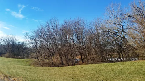 Winter landscape with gently sloping meadows