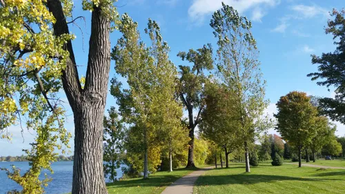 Tall trees along the grassy shoreline path on a sunny autumn day