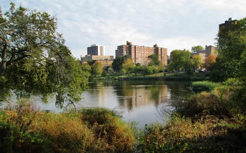 A calm view across Loring Pond in autumn