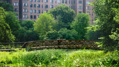 A visitor enjoys the scenery on the footbridge across the pond