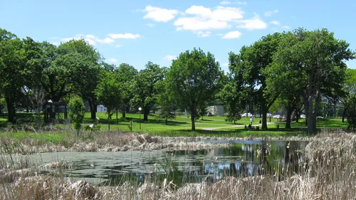 Looking across the park and its pond on a sunny afternoon