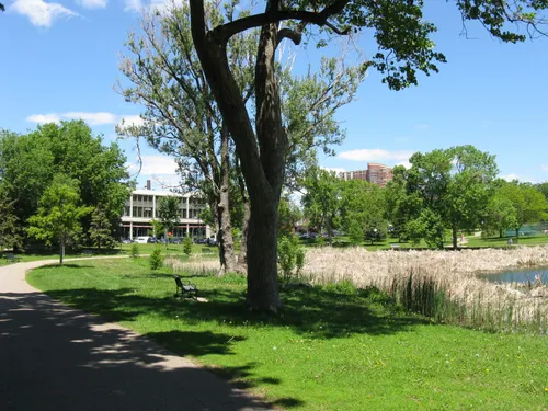 Large trees cast shade onto the pathway on this bright summer day