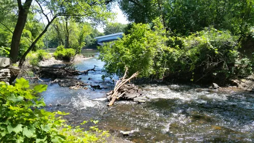 Shingle Creek winds through dense summer vegetation within the park