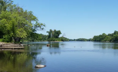 A wide view of the Mississippi River looking upstream on a calm summer afternoon
