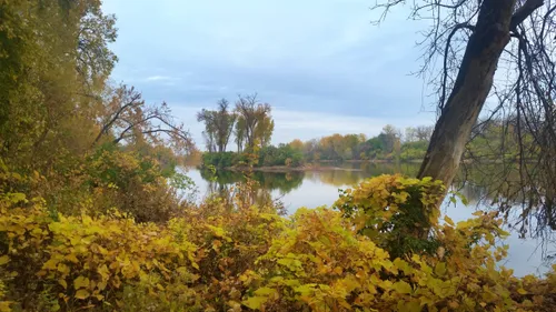 Fall foliage in shades of gold frames a stretch of the Mississippi River