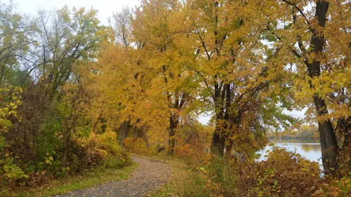 A trail leads through the woodland area dressed in autumn color