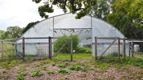 Greenhouse in the park's west section