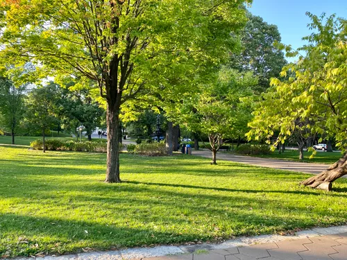 The morning sun casts shadows across the park's open lawn