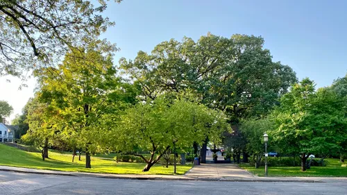 Gently sloping landscape showcases the park's lush tree canopy
