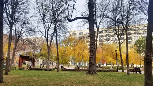 Autumn trees on the park grounds with golden foliage