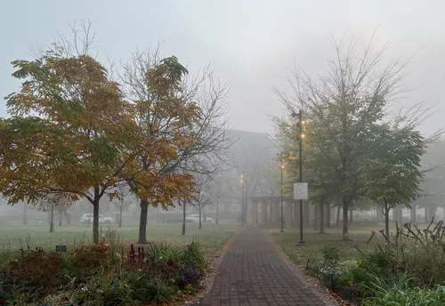 The pathway through the park on a foggy autumn morning