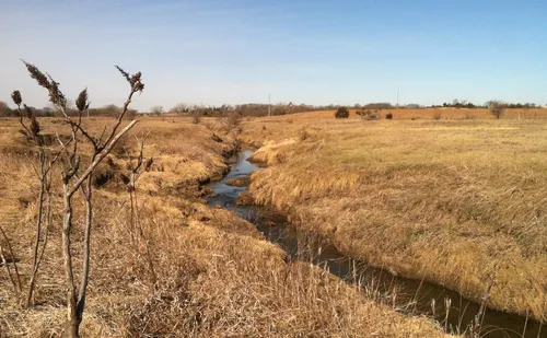 Haines Branch winds through dry prairie grasses on a clear day