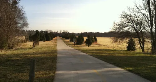 Bison Trail stretches toward the horizon lined by trees on either side
