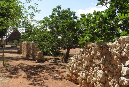 Remnants of stone walls remain along the fort's southern edge