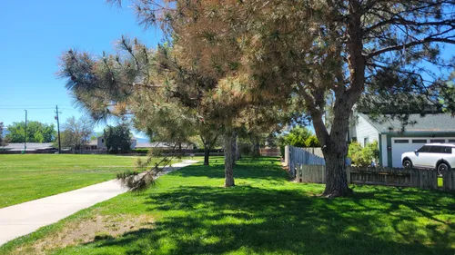 Mature trees line a pathway alongside the green lawn
