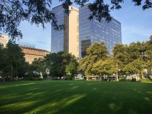 Morning light filters through the trees onto the lush green lawn