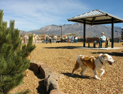A dog enjoys the spacious dog park with the Sandia Mountains in the background