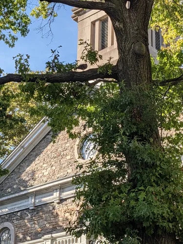 St. Mark's Church in-the-Bowery, with its fieldstone exterior seen through autumn trees
