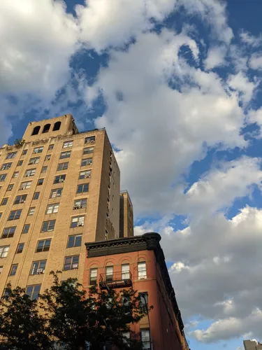 Looking up at the surrounding East Village buildings from the park