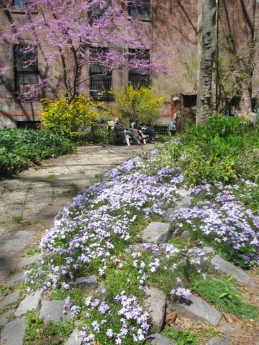 Flowers and blooming trees fill the west yard of St. Mark's Church in spring
