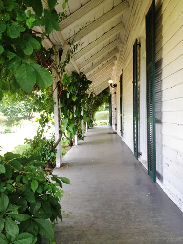 Vine-covered porch of the Victorian-era Alice Austen House museum