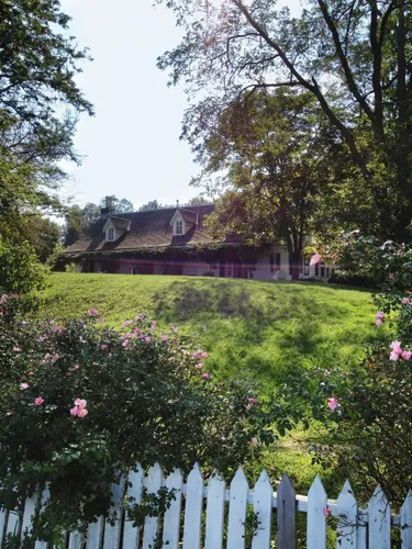 Flowering shrubs and white picket fence frame the garden pathway