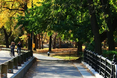A quiet late afternoon in the park