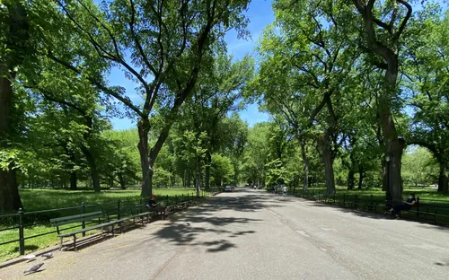Sunlight streams onto the broad pedestrian pathway