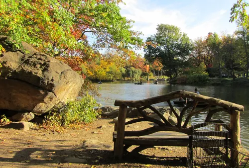 A wooden bench by the water offers scenic views