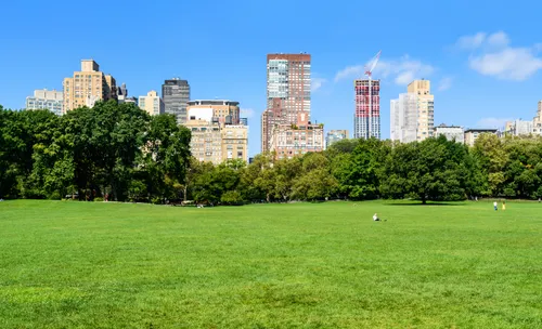 Sheep Meadow with Manhattan skyline visible beyond the trees