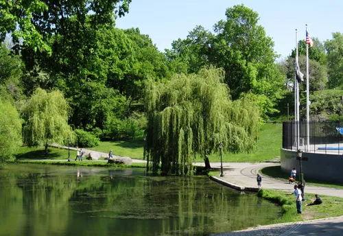 Willow trees drape gracefully over the water
