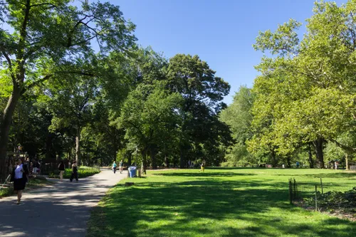 Sunlight dapples the shaded lawn along a walking path