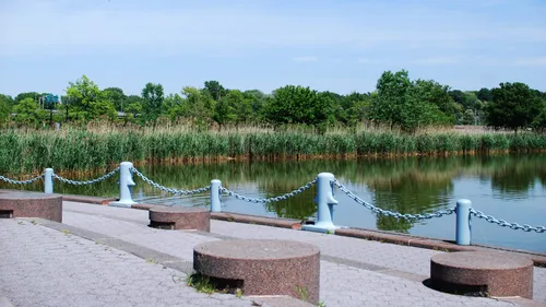 A peaceful dock extends into Meadow Lake