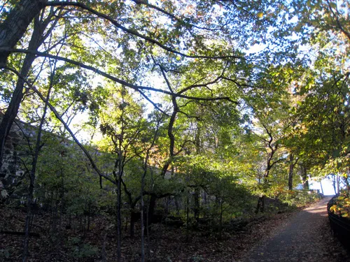 Sunlight filters through trees on a shaded path