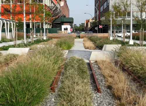 Native grasses are featured in this landscaped section of the park