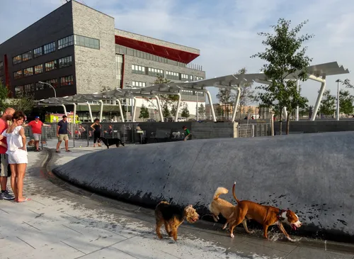 Dogs and their owners gather at the dog run on a sunny afternoon