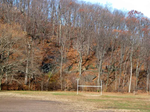 Rugby field with deciduous forest backdrop displaying seasonal colors