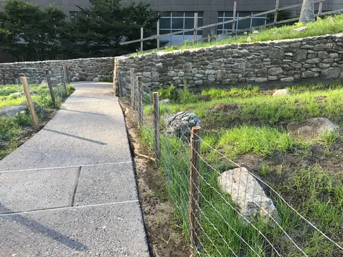 Stone walls and fences line a path at the Irish Hunger Memorial