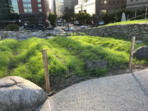Fallow potato furrows and indigenous Irish grasses recreate a historic hillside landscape