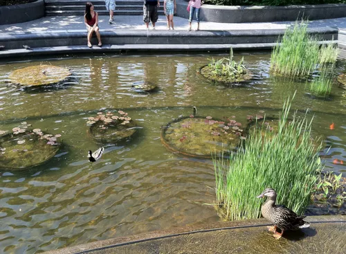 The Lily Pond is right next to the memorial