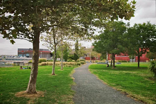 Pathway through green lawns near the shore