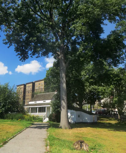 The Edgar Allan Poe Cottage sits beside tall trees