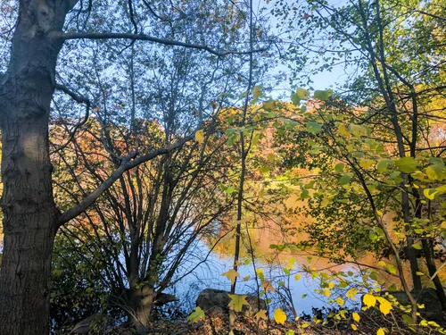 Vivid colors in the park's forests