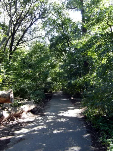 Walking the park's vast network of paths