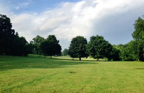 The park has several grassy areas