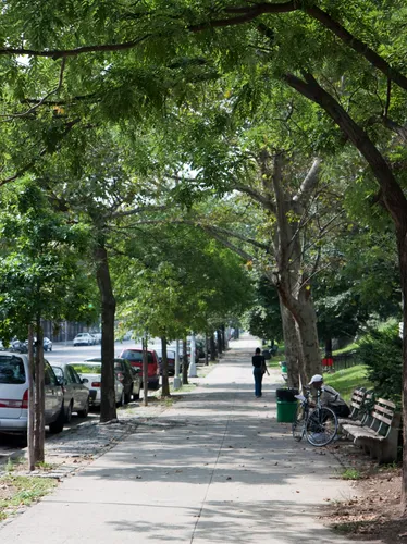 Tree-lined pathway along St Nicholas Ave borders the park