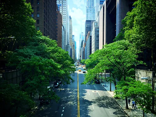 Lush park greenery frames the view down 42nd Street in midtown Manhattan